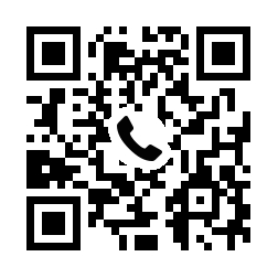 0078-6011-3006
