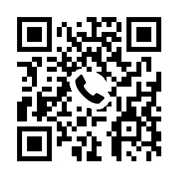 0078-6011-3081