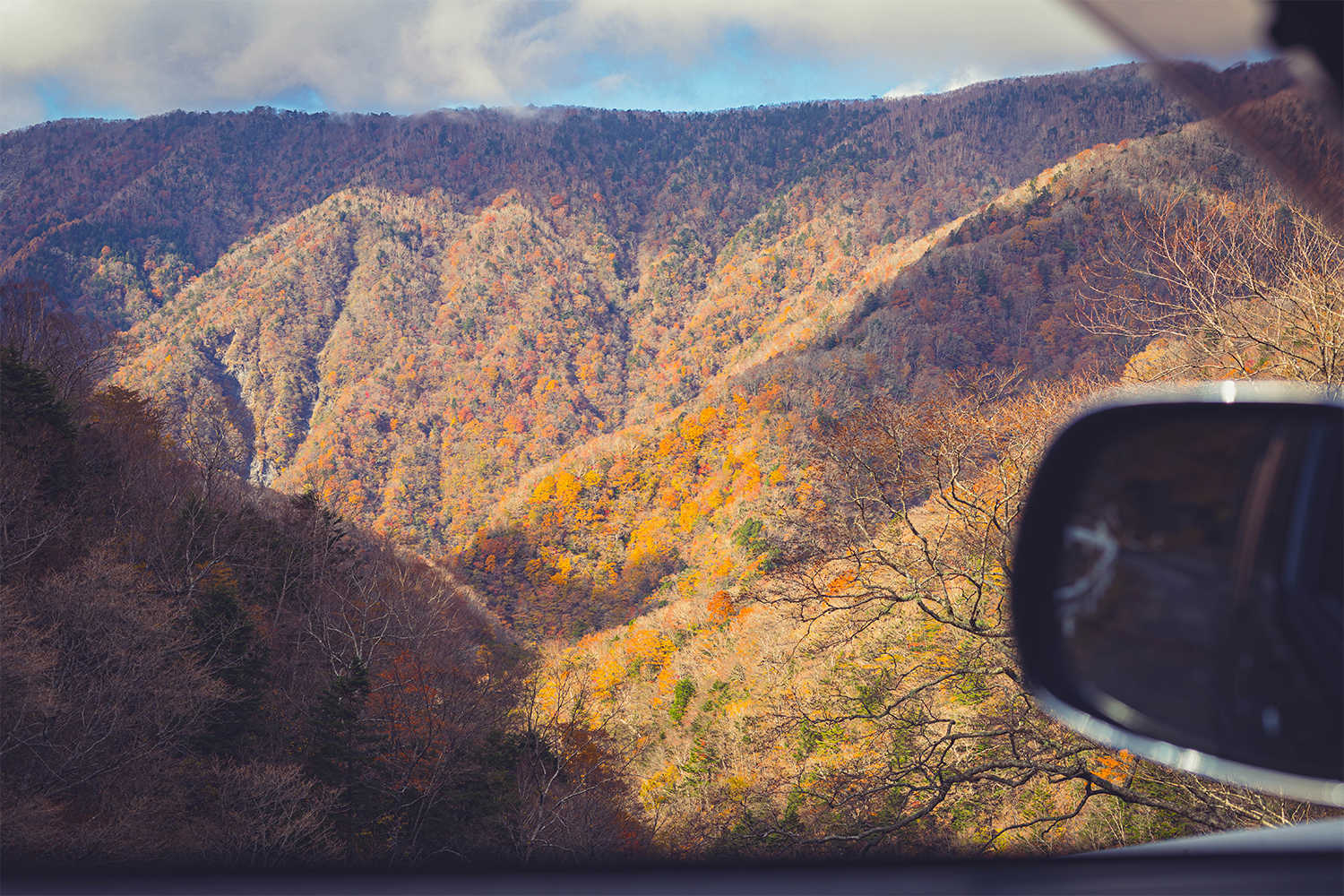 nationalpark6_0