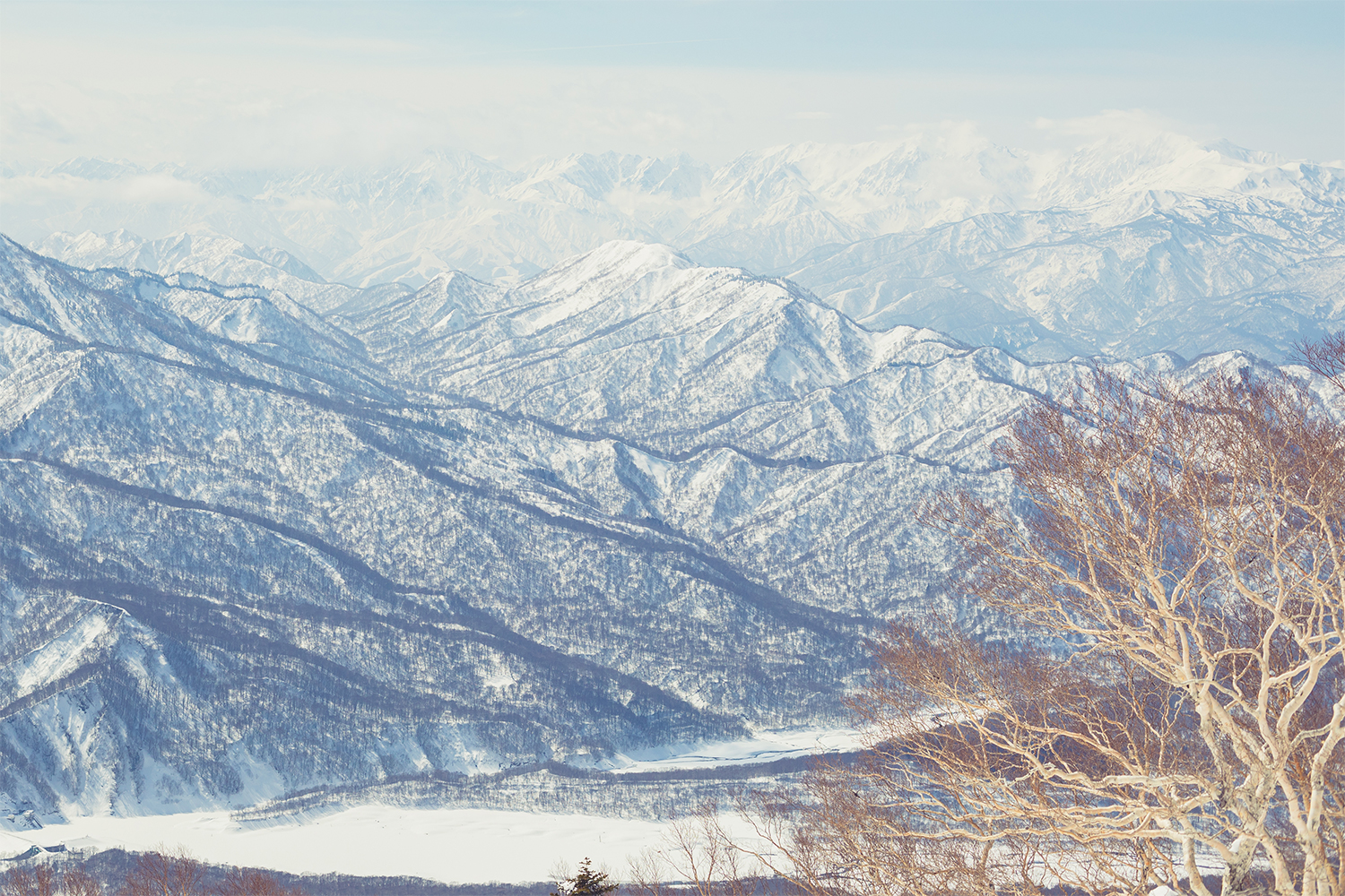 日本有数の豪雪地帯をロードトリップ