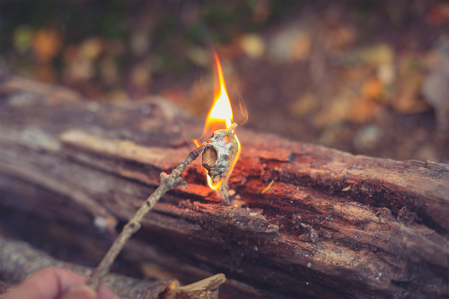 布ガムテープ全体に火が回り接着剤が燃料の役割を果たす。この火種の上に小枝を燃やし、乗せる木の太さを徐々に大きくしてゆく