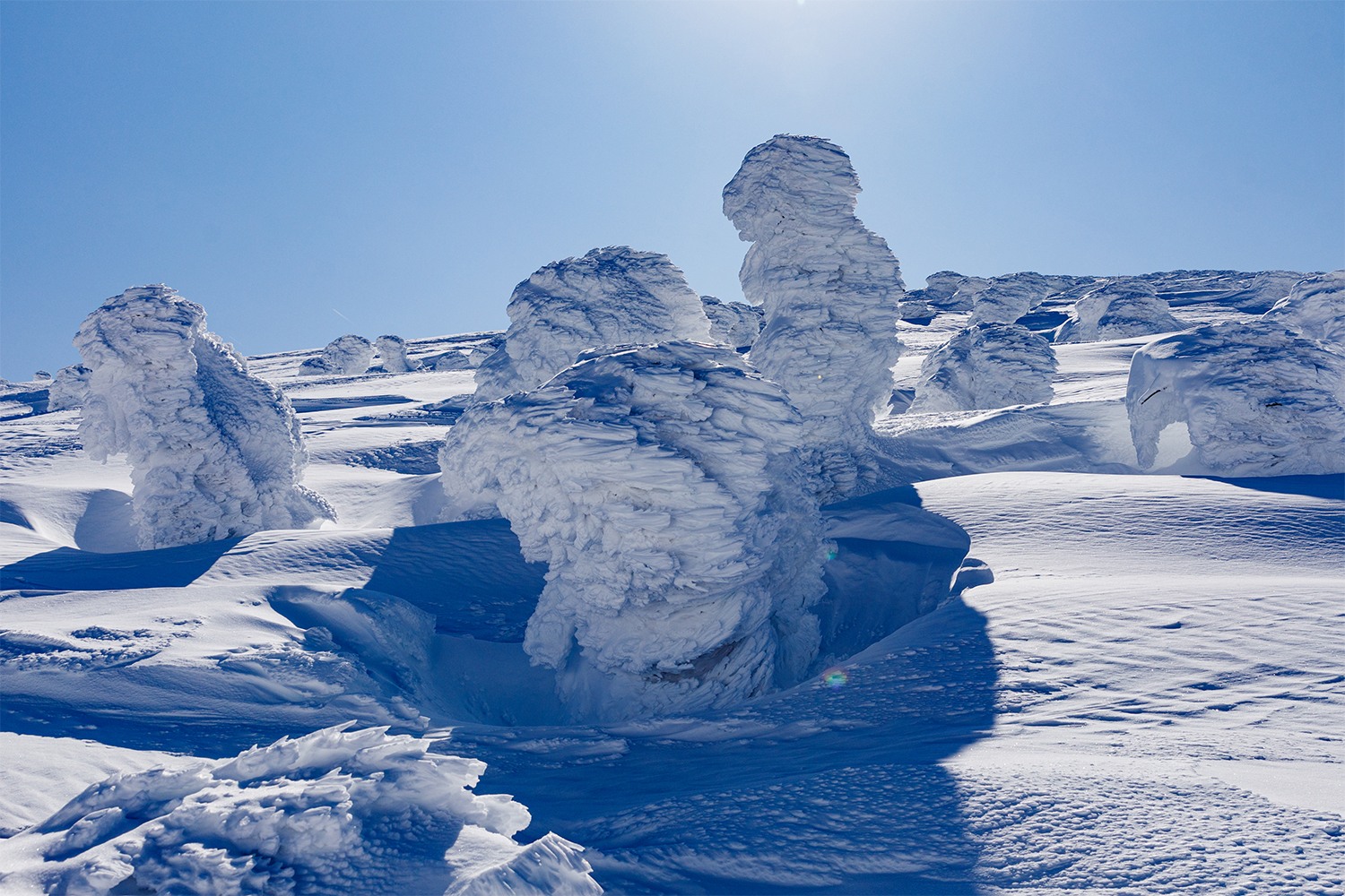 かっこいい感じで成長したモンスター。雪と風と水中の水分が作り出す地球のアートだ。深海のようにも見える樹氷のきめ細かさは何度見ても驚く