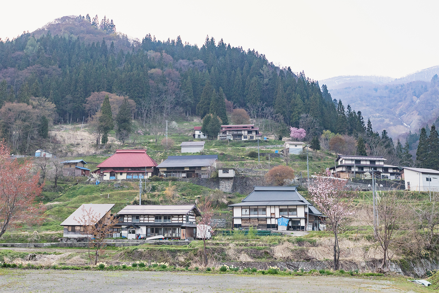 谷間に立ち並ぶ小谷村の風景