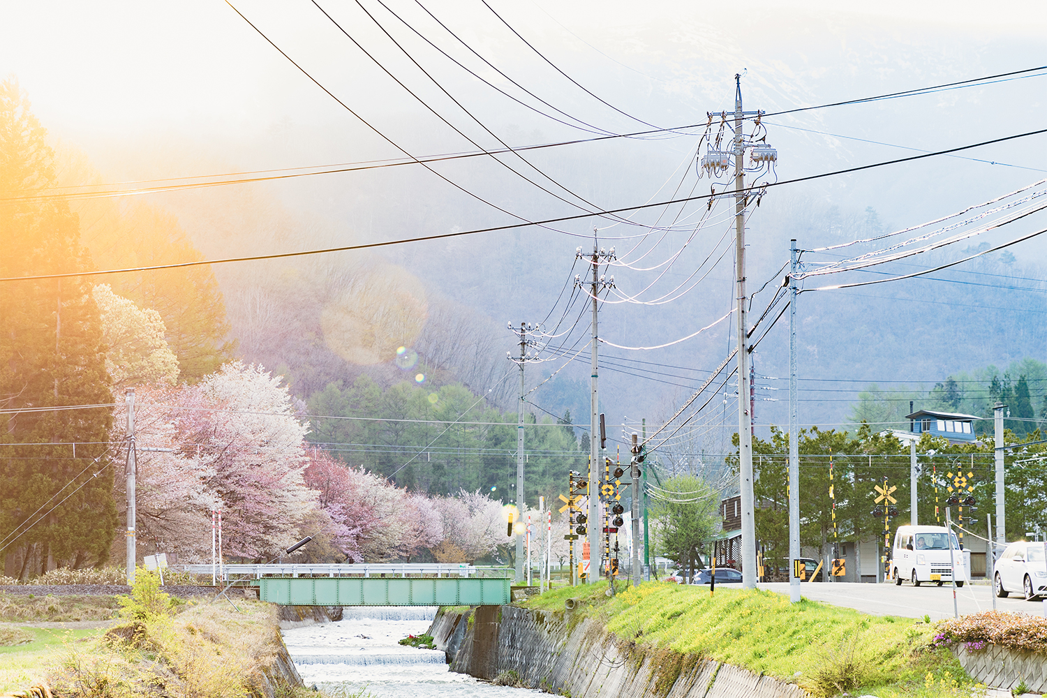 ドライブ中に癒しを与えてくれた満開の桜並木