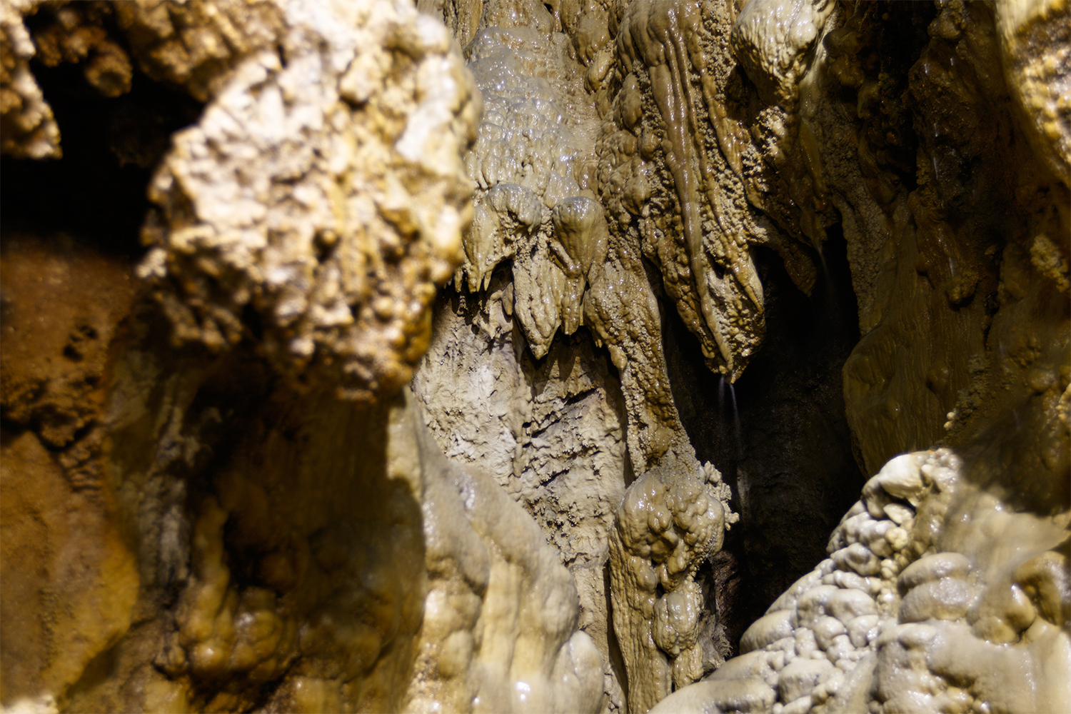 鍾乳洞の中は明るく、たくさんの鍾乳石を見てまわることができる