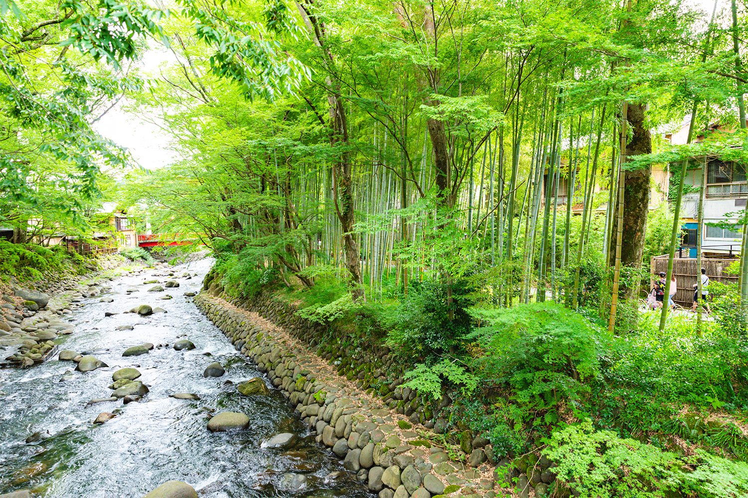 筥湯の前の川沿いを西に行くと、竹林の小径という散策路がある。風呂上がりにぴったりの涼が得られる