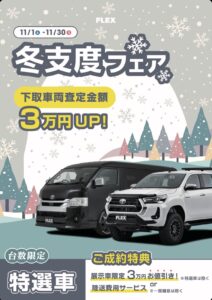 11月のフェアとお得情報のお知らせ📣✨