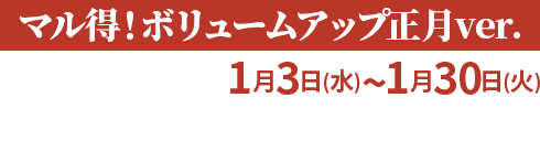 マル得!ボリュームアップ正月ver. 初売り大特価!1月3日(水)～1月30日(火) カスタムパーツセール開催!