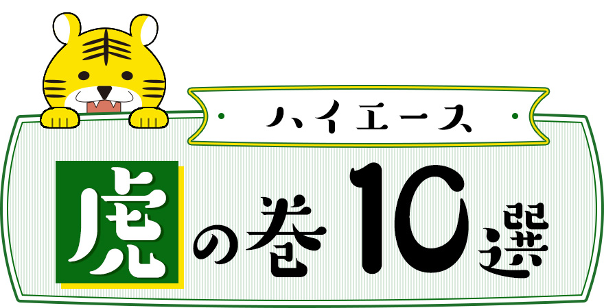 ハイエース虎の巻10選