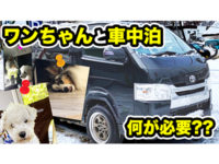 動画 関連の記事 ニュース レビュー 中古車 新車販売のflex 動画 関連の記事 ニュース レビュー 中古車 新車販売のflex